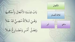 صورة شرح نظم الآجرومية مع التشجير //38//الشيخ محمد محمود الشنقيطي