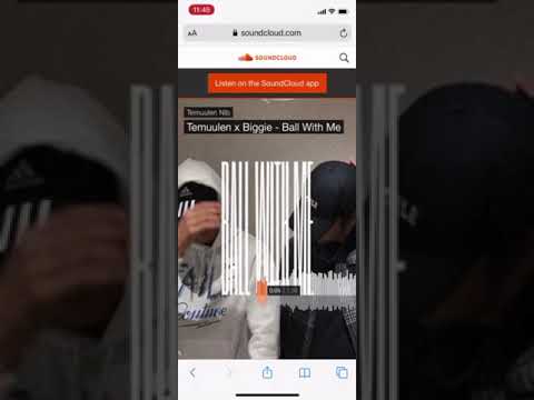 Temuulen x Biggie- Ball with me