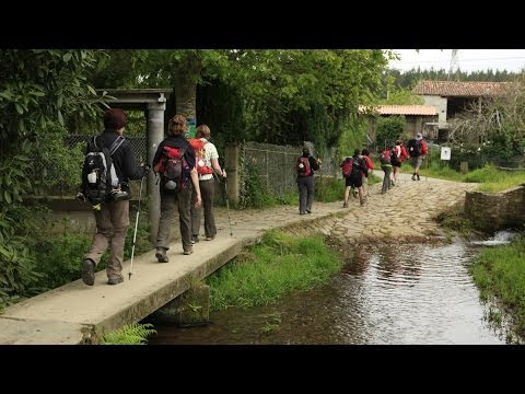 Jakobsweg - die letzte Etappe nach Santiago de Compostela