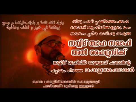 💕Thwaha thangal wedding song💕with best wishes...SAYYID MUHSIN/youtube channel