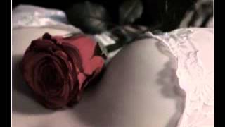 PERFETTA  .- ALIKA AYANE