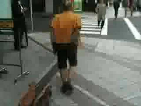 VMGun05 Videos: A day in AKIHABARA (part 1)