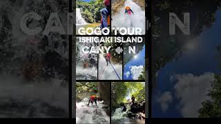 GoGo Tour
