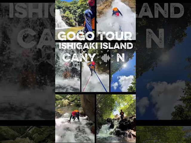 GoGo Tour