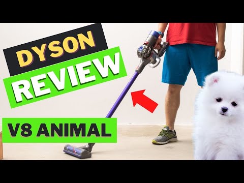 Dyson V8 Animal (Vacuum Review & Demo)