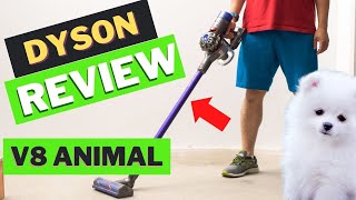 Dyson V8 Animal (Vacuum Review & Demo)