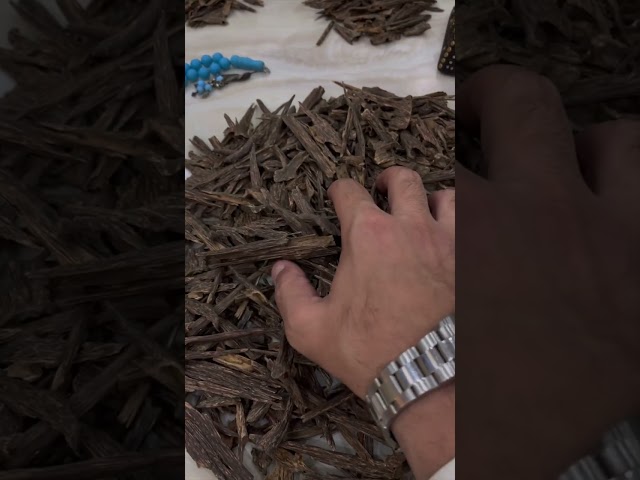 عود ميني نجلاند تربل سوبر