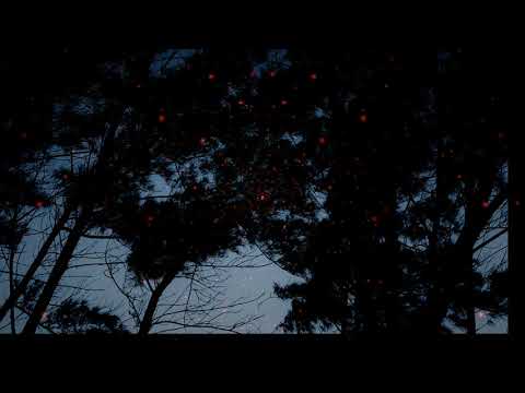 Mueve Su Pelo + Project T ( Juan Magan ) - Fumaratto ft. Tom Gasco UnOfficial Remix