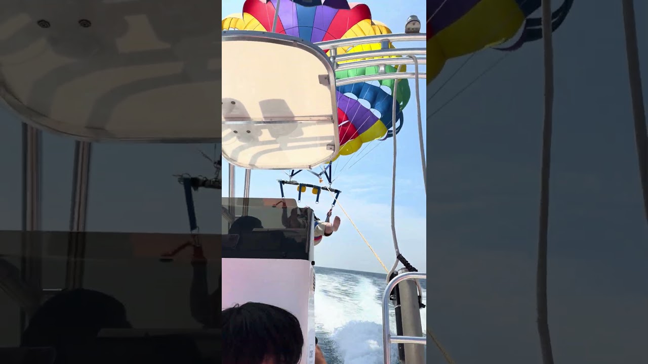 大鶴肥満、空を飛ぶ