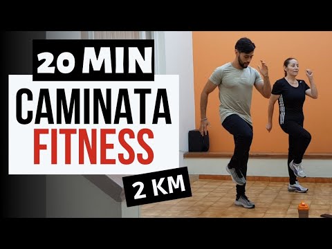 🔥20-Minute Fitness Walk🔥 // Jump-Free Cardio to Lose Fat at Home | 2KM Power Walk