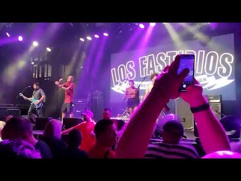 Los Fastidios @RebellionFestival 2022