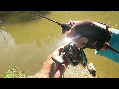 Magic Trout Cito Ultra-Light Lure (1,80m 1g-5g)... bevetésen... ul horgászat Kirillel 07.23