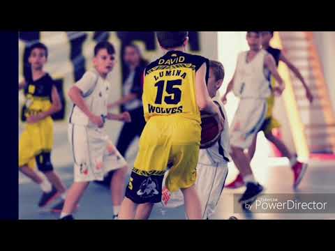 The Polizu Brothers în acțiune - Lumina Wolves