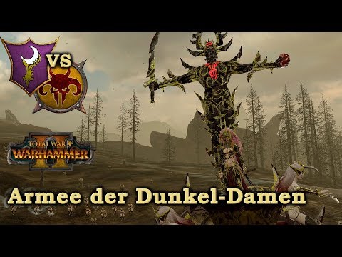 Die Dunkel-Damen-Armee + Bonus - Dunkelelfen vs Tiermenschen - Total War: Warhammer 2 Deutsch #361
