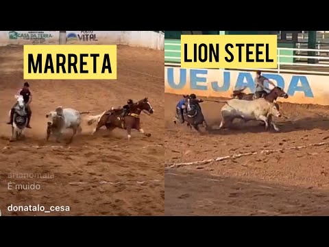 DESAFIO COMPLETO, THIAGO DO JAPI X FABIO, MARRETA x LION STEEL,  CAMPEÃO (MARRETA)