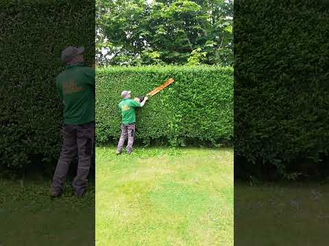 Is This The Fastest Stihl HEDGE TRIMMER? #shorts