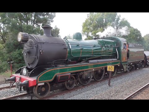 Australian Trains: Steam Locomotives in Action - 2019