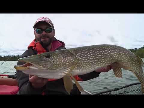 Lawrence Bay Lodge | Linders Fishing - YouTube