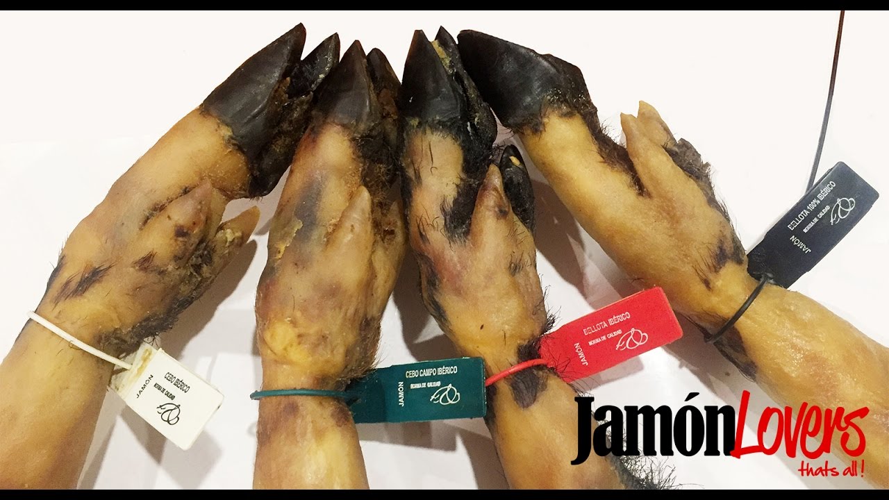 Cómo Comprar un Jamon Ibérico: Precintos y Etiquetas de los Jamones Ibéricos