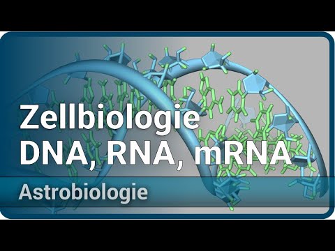 Cell Biology and the RNA World • DNA, RNA, mRNA, and Proteins • Astrobiology (3) | Aleksandar Janjic