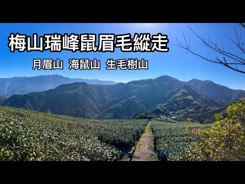 鼠眉毛縱走
