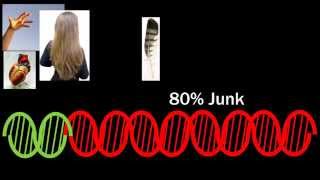Evolution: The Evidence - Episode 11: Junk DNA