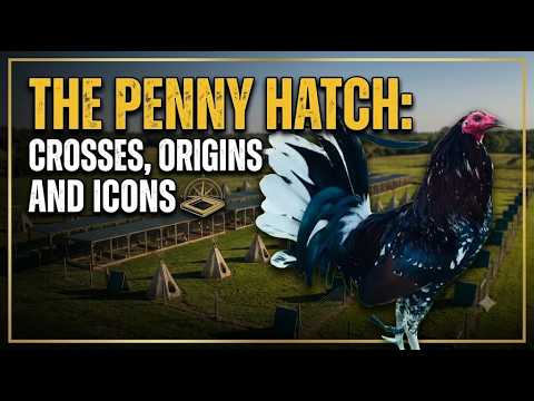 Penny Hatch