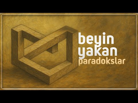 Everything Was Making Sense… Until I Met the Paradoxes!