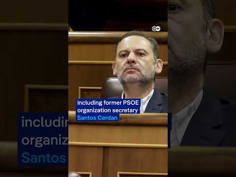 Probe targets HQ of Spain's ruling Socialist Party | DW News