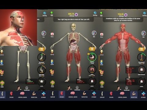 Idle Human - Gameplay - Android , iOS / Simulation / Mobile game by Green Panda Games