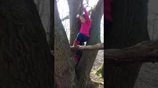 Climbing trees in the spring sunshine
