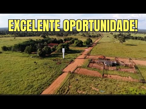 Fazenda à Venda em Goiás – 553 Alqueires Prontos para Pecuária | Santa Terezinha GO