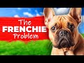The French Bulldog Problem