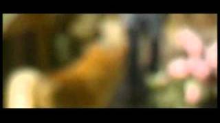 Gianni Maroccolo feat. Cristina Donà - Meloria's Ballade