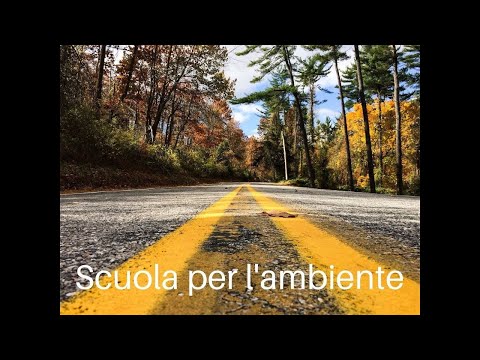 frame del video: pollini e pianificazione del v..., visibile all'interno del canale youtube di arpa fvg