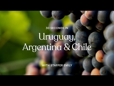 30 segundos com nossa equipe Emily no Uruguai, Argentina e Chile | EF Go Ahead Tours