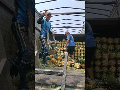 P643-The most viewed YouTube videos of all Time #hkl#short