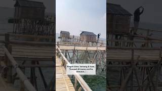 Download lagu Perjalanan ke Bagan Alex Teluk Naga β Mancing Bareng Bocil Penyu π£π’ mp3 Download lagu Perjalanan ke Bagan Alex Teluk Naga β Mancing Bareng Bocil Penyu π£π’ mp3