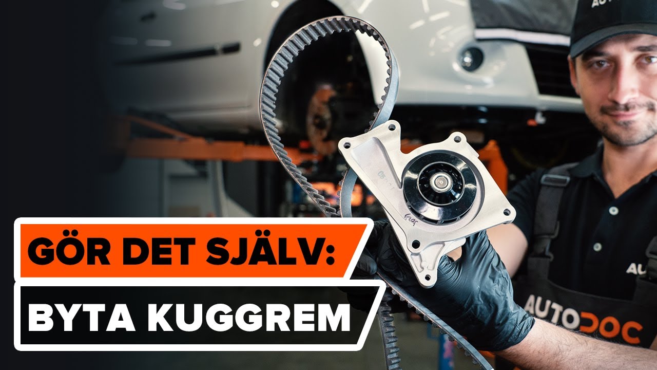 Byta vattenpumpar & kamremssats på Renault Clio 3 – utbytesguide