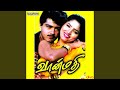 Pillayarpatti Hero