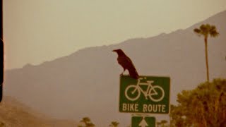 The Lawrence Arms - &quot;Ghostwriter&quot;