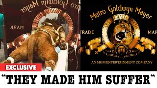 10 Cinema Secrets That Were Finally Revealed