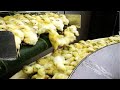 How Poultry Farm Make Million Eggs And Meat Inside Modern Chickens Farm Poultry Farm Technology