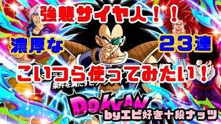 【F新規】ドッカンバトル実況　[Part377]　～ラディッツフェス23連～