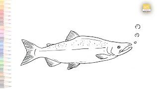 Sockeye Salmon fish drawing easy | How to draw Salmon fish step by step | Fish drawing tutorials
