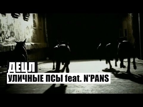 Video thumbnail for Уличные псы (Street Dogs)