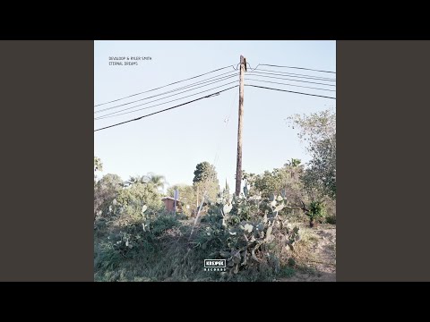 Ballad (feat. DJ Delightfull)