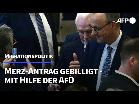 Mit AfD-Hilfe: Unions-Antrag zur Asylpolitik im Bundestag angenommen | AFP