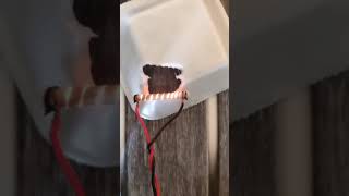 Heating effect of electric current ⚡class 10  NCERT#shorts