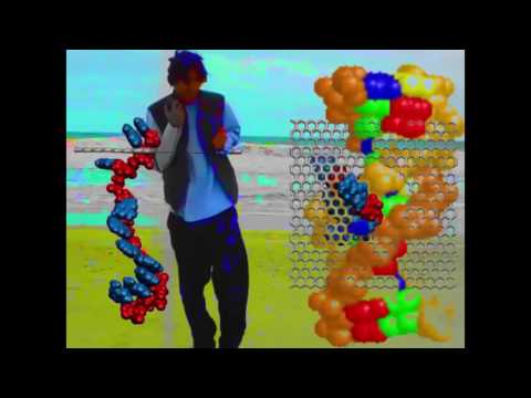 Fullmetal Jango - DON'T CARE BOUT NO HO (Music Video)